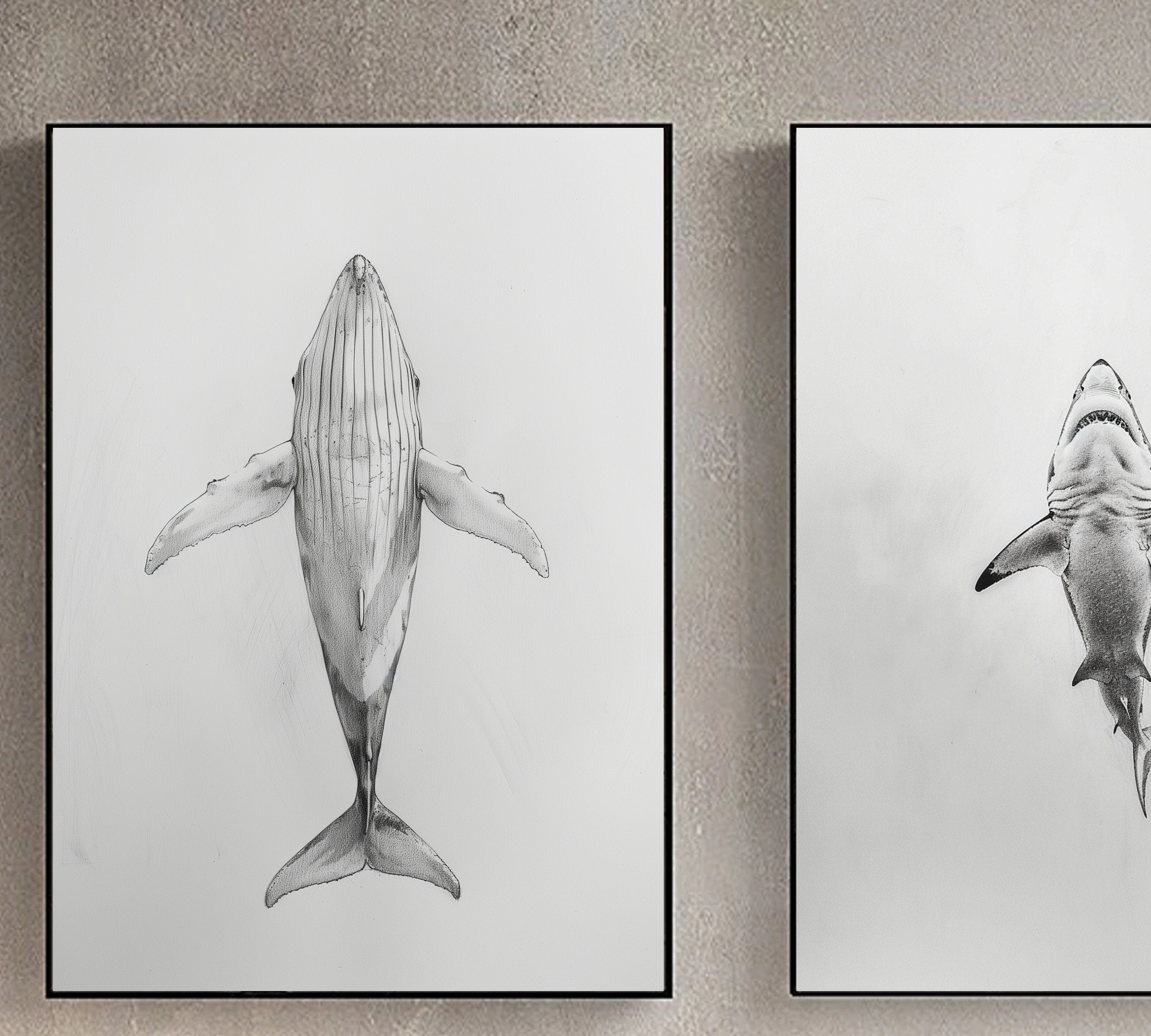 Ocean Giants - Pencil Sketch of Whale and Shark from Below - Marine Life Art - Wall Decor