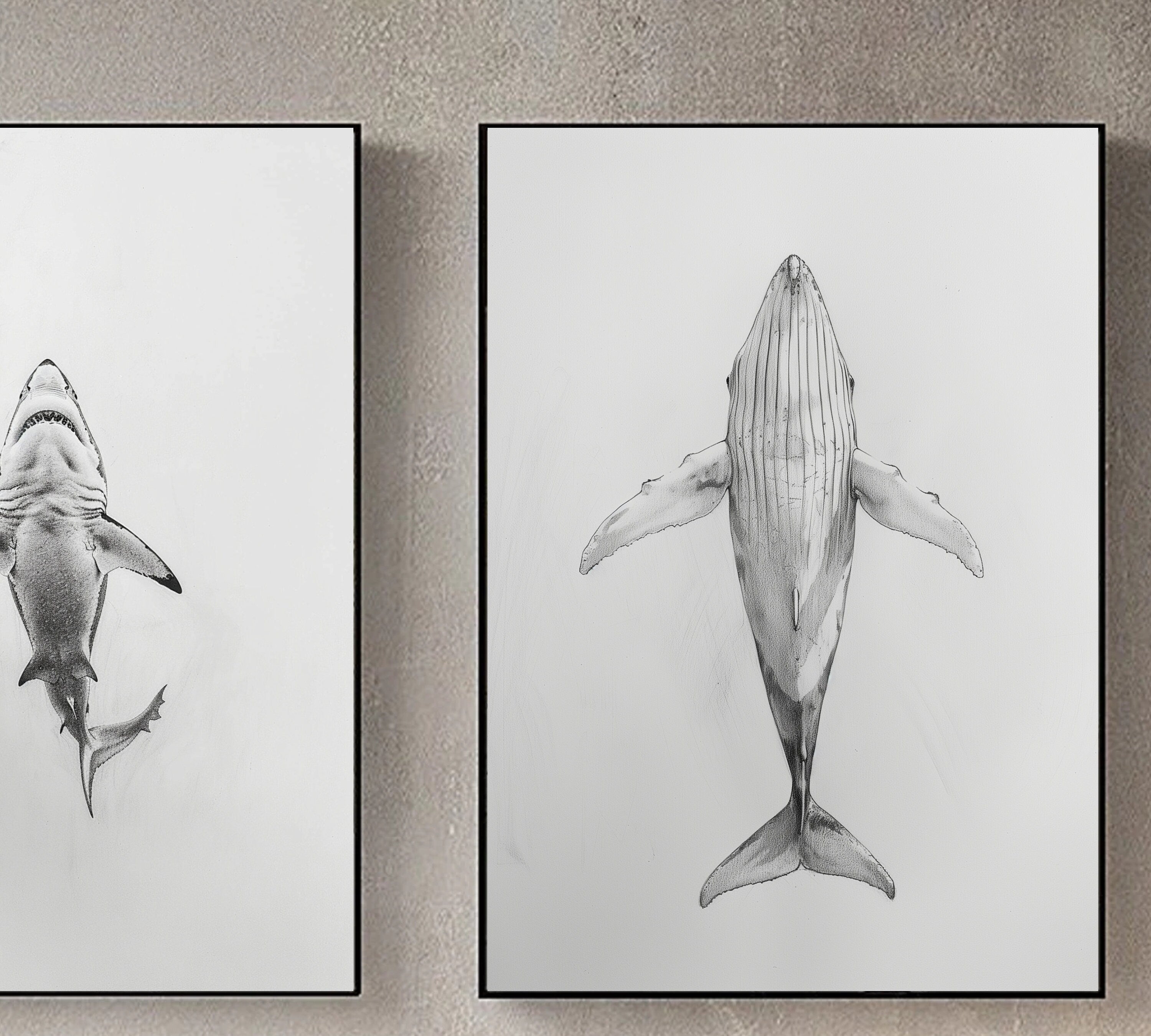 Ocean Giants - Pencil Sketch of Whale and Shark from Below - Marine Life Art - Wall Decor